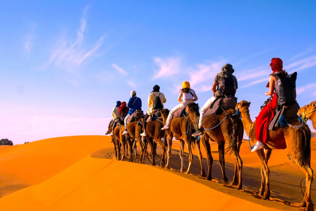 Evening Desert Safari